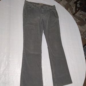 Gray Corduroy Boot Cut Pants